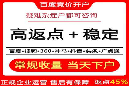 探索专业SEM托管的奥秘：从案例看效果